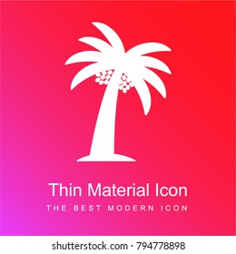 Palm Tree with Date red and pink gradient material white icon minimal design