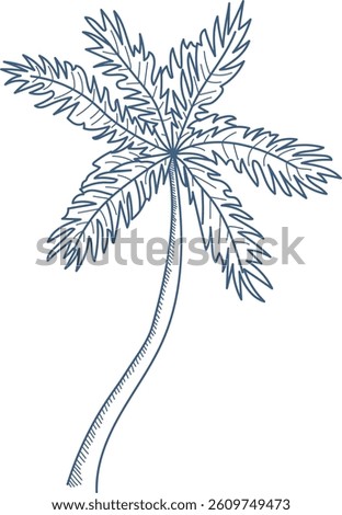 A palm tree is depicted in a hand-drawn line art style with detailed fronds.  The tropical plant is shown in a simple outline drawing exhibiting a natural form. Cartoon vector illustration
