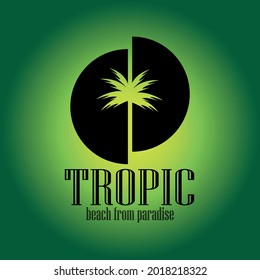 palm tree design logo vector