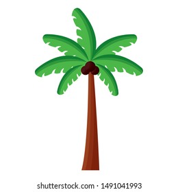 Palm tree design, Summer vacation tropical nature island and season theme Vector illustration