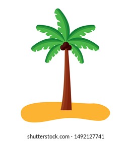 Palm tree design, Summer vacation tropical nature island and season theme Vector illustration
