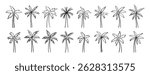 palm tree doodle hand drawn icon set. Outline drawing palm tree line clipart symbol collection. Vector illustration