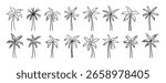 palm tree doodle hand drawn icon set. Outline drawing palm tree line clipart symbol collection. Vector illustration