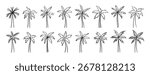 palm tree doodle hand drawn icon set. Outline drawing palm tree line clipart symbol collection. Vector illustration