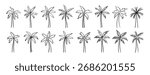 palm tree doodle hand drawn icon set. Outline drawing palm tree line clipart symbol collection. Vector illustration