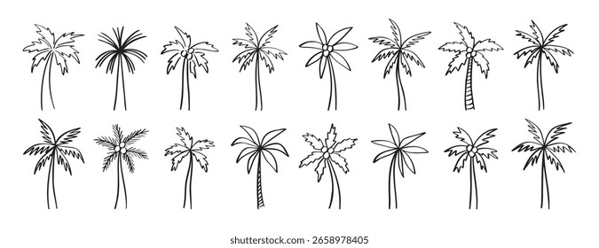 Palm Tree Doodle dibujado a mano conjunto de iconos. Colección de Clipart de línea de palmera de dibujo de esquema. Ilustración vectorial