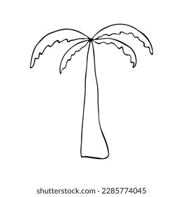 Palm tree in doodle style on an isolated white background.