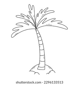 Palm tree in doodle style. Vector illustration. Linear palm tree. Exotic tree. Coconut tree.