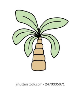 Palm tree in doodle style. Vector isolated on white background