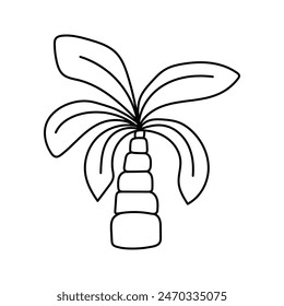 Palm tree in doodle style. Vector isolated on white background