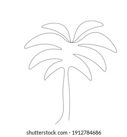 Palm tree drawi on white background, vector illustration