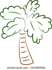 Dibujo de palmeras, ilustración, vector sobre fondo blanco.