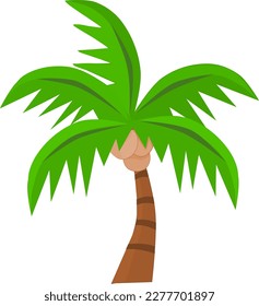 Palm tree drawing vector art. Vector illustration. Tropical summer tree. Coconut tree.