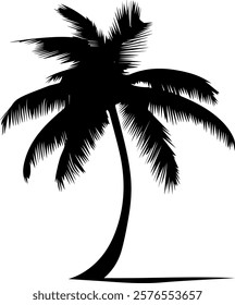 Palm tree element, silhouette, icon, background vector illustration. 