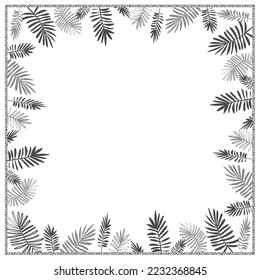 Palm tree or fir tree graphic border frame on white background, vector mockup illustration