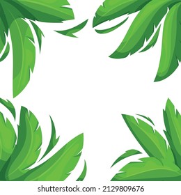 Palm tree frame. Cartoon summer background with palm leaves, decorative foliage banner. Vector illustration