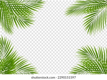 Palm Tree Frame Isolated Transparent Background
