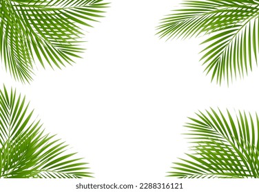 Fondo blanco aislado del marco del árbol de palmas
, Ilustración vectorial