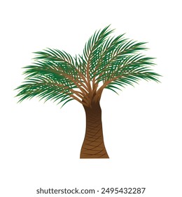 Una palmera con hojas verdes para el diseño.