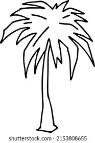 Palm tree with green leaves. Exotic tropical jungle hot summer holiday, Travel outdoor to south in nature forest to spa relax. Hand drawn vector illustration. Simple black line drawing.