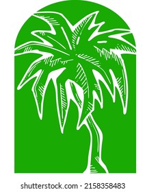 Palm tree with green leaves. Exotic tropical jungle hot summer holiday, Travel outdoor to south in nature forest to spa relax. Hand drawn retro vintage vector illustration. Old style cartoon drawing.