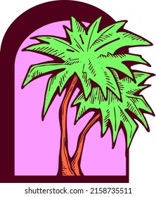 Palm tree with green leaves. Exotic tropical jungle hot summer holiday, Travel outdoor to south in nature forest to spa relax. Hand drawn retro vintage vector illustration. Old style cartoon drawing.
