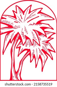 Palm tree with green leaves. Exotic tropical jungle hot summer holiday, Travel outdoor to south in nature forest to spa relax. Hand drawn retro vintage vector illustration. Old style cartoon drawing.