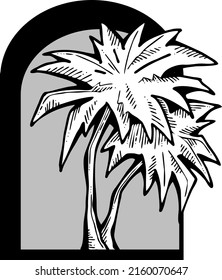 Palm tree with green leaves. Exotic tropical jungle hot summer holiday, Travel outdoor to south in nature forest to spa relax. Hand drawn retro vintage vector illustration. Old style cartoon drawing.