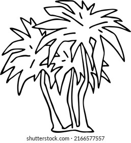 Palm tree with green leaves. Exotic tropical jungle hot summer holiday, Travel outdoor to south in nature forest to spa relax. Hand drawn vector illustration. Simple black line drawing.