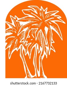 Palm tree with green leaves. Exotic tropical jungle hot summer holiday, Travel outdoor to south in nature forest to spa relax. Hand drawn retro vintage vector illustration. Cartoon style drawing.