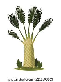 Palmera con hojas verdes en la parte superior y tronco. Árbol fructífero exótico. Flora natural vectorial aislada en fondo blanco