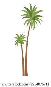 Palm tree with green leaves top and trunk. Exotic fruitful tree. Vector nature flora isolated on white background