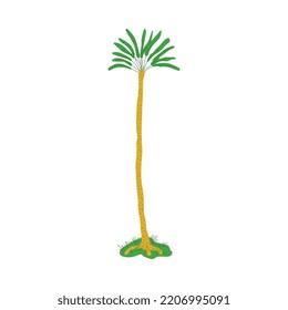 Palm tree, hand drawn flat vector illustration isolated on wihte background. Cartoon and childish palm tree. Concepts of exotic nature, traveling and summer.