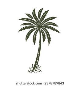 Palm tree hand drawn in sketch style. Illustration for advertising summer travel. Isolated on white background. Vector.