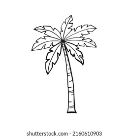 Palm tree. Hand drawn vector illustration. Line art style isolated isolated on white background.