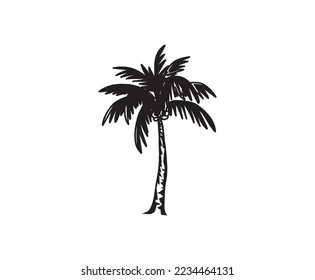 palm tree hand drawn, vector image