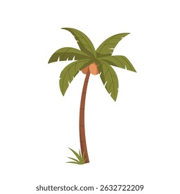 Palm tree hand drawn vector flat cartoon illustration isolated on white background. Exotic tropical tree, summertime object, tropical plants, decoration for summer, beach, travel or holiday concept.