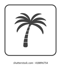 palm tree  icon