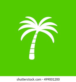 palm tree  icon