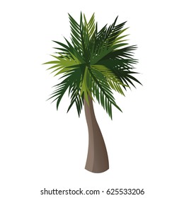 palm tree icon