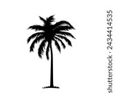 Palm tree icon. Black coconut silhouette palm isolated on white background. Coconuts palmtree for design summer prints. Palmetto trees. Abstract line beach logo. Shape hand draw. Vector illustration