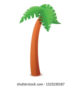 Palm tree icon. Cartoon of palm tree vector icon for web design isolated on white background