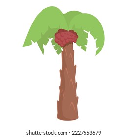 Palm tree icon cartoon vector. Oil food. Tropical extract