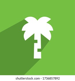 ICONO DE ÁRBOL DE PALMA , ICONO DE COCONUT