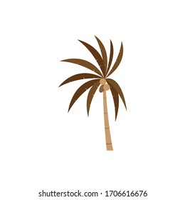 Palm tree icon design logo stock vector