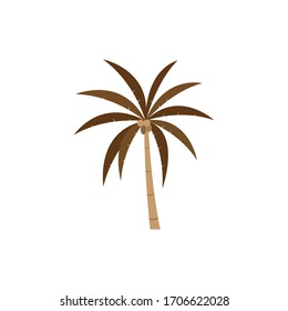 Palm tree icon design logo stock vector