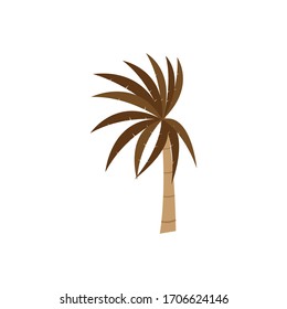 Palm tree icon design logo stock vector