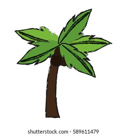 palm tree icon image 
