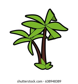 palm tree icon image 
