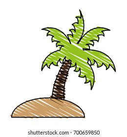 palm tree icon image